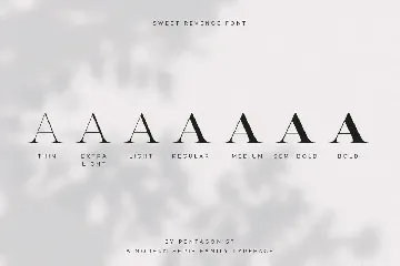 Sweet Revenge | 8 Family Font