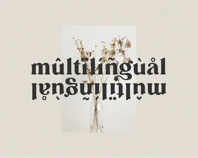 Carena - Ligature Serif Font
