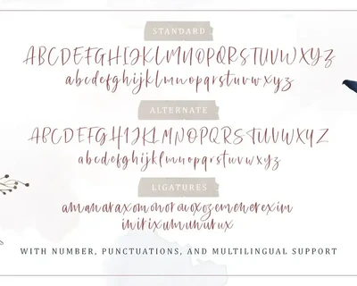 Sharon Baker - Modern Script font