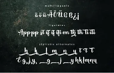 Appetizer | Modern Script Font