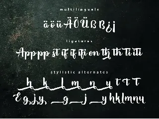 Appetizer | Modern Script Font