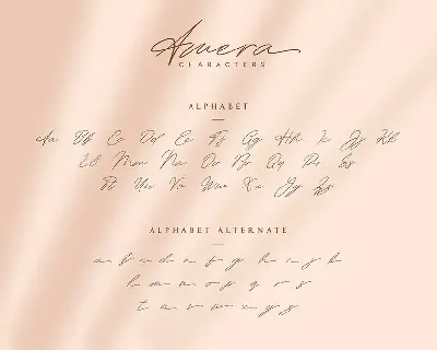 Amera - Signature Script Font