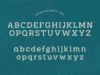 Marauder - Vintage Slab Serif Typeface font