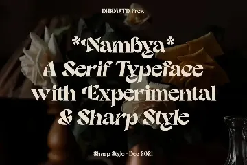 Nambya - Modern Bold Serif font