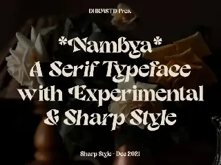 Nambya - Modern Bold Serif font