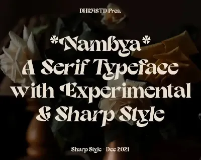 Nambya - Modern Bold Serif font