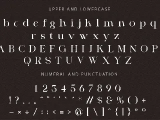 Modern Serif Display Font