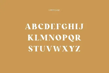 Kaviar Beluga Modern Classic Serif Font