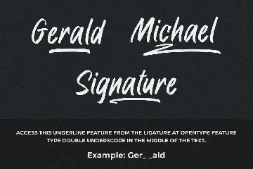 Raymond Signature Font