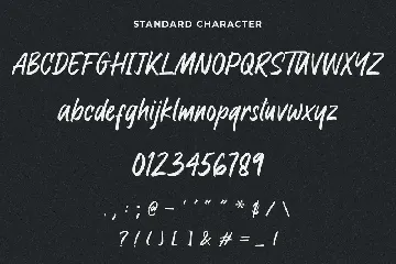 Raymond Signature Font