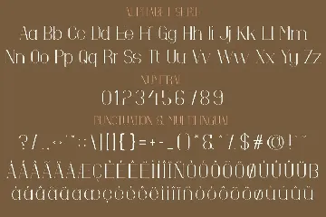 Beautifule - Script and Serif Combination font