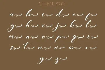 Beautifule - Script and Serif Combination font