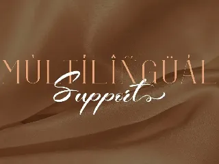 Beautifule - Script and Serif Combination font