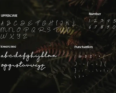 Rintang - Signature Handdwritten font