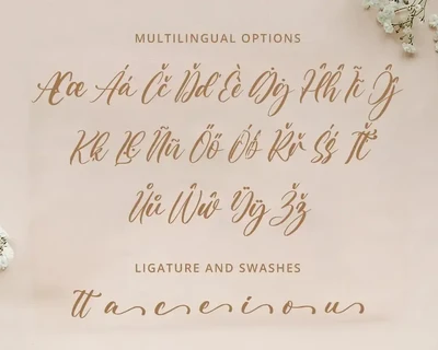 Aulietta - Elegant Script Font