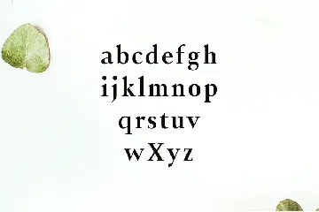 Jerrick Serif 6 Font Pack