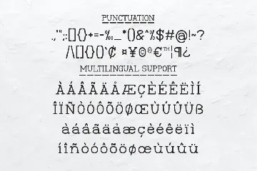 Frontype - Typewriter Typeface font