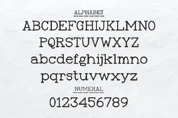 Frontype - Typewriter Typeface font