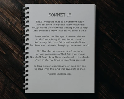 Frontype - Typewriter Typeface font