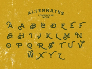 Aqunite Vintage Typeface font