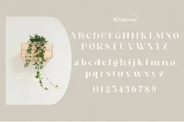 Wildstone - Ligature Serif Typeface font