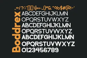 Boddrex - A Modern Sans Serif Font