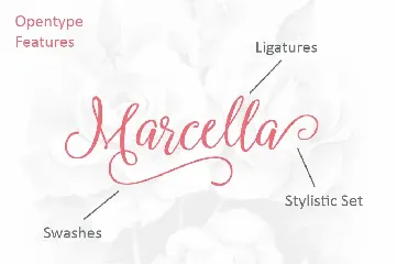 Marcella Script font