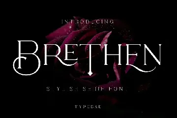 Brethen - Stylish Serif Font