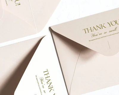 Elegant Serif & Script Font Duo