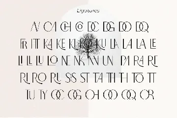 North Carossela - A Ligature Sans font