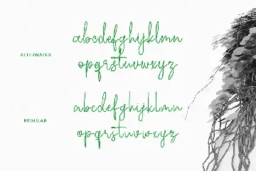 Ecaliptycus Script Font