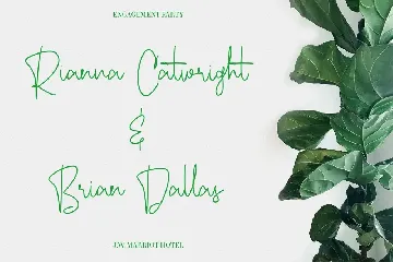 Ecaliptycus Script Font