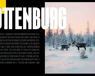 Ottenburg Display Typeface font