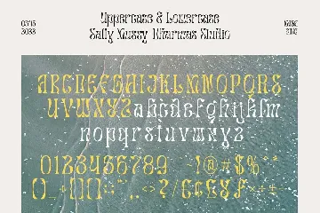 Salty Mussy - Modern Display font