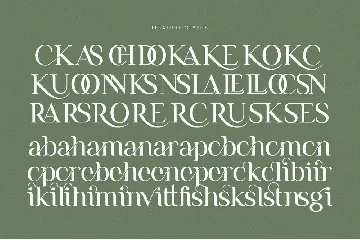 Remains Stepping Ligature Serif Font