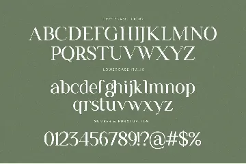 Remains Stepping Ligature Serif Font