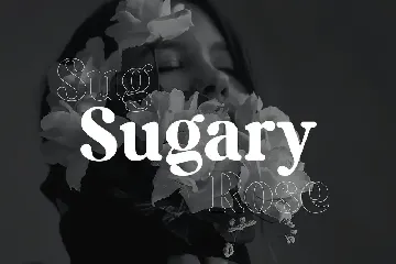 Sticky Sugary Modern Retro Serif Font