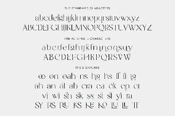 Catalina - Classy Ligature font