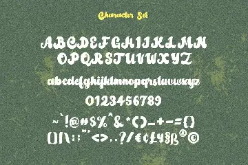 Amberlion Groovy Diplay Script Font