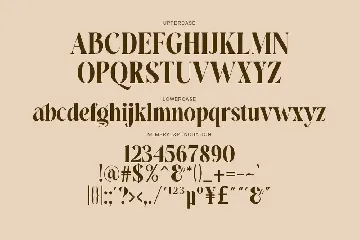 Elegant Luxury Serif Font