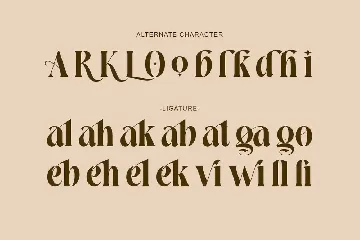 Elegant Luxury Serif Font