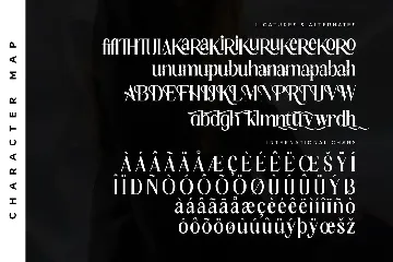 Black Runters A New Display Serif Font