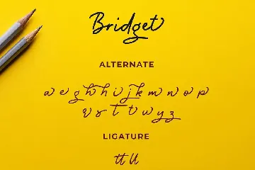 Bridget Monoline Script Font