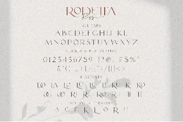 Rodetta Rossie Font Duo