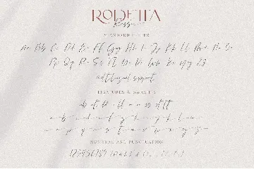 Rodetta Rossie Font Duo