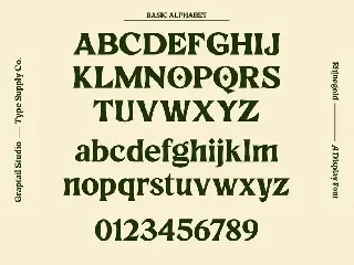 Rhinegold - Display Font