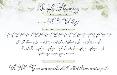 Simply Harmony | Stylistic Modern Calligraphy Font