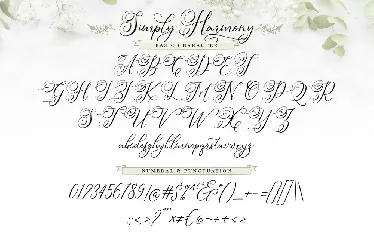 Simply Harmony | Stylistic Modern Calligraphy Font