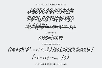 Silfa - Script Font