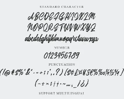 Silfa - Script Font